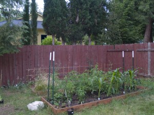 Garden Garden