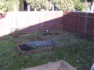 Old Garden Old Garden