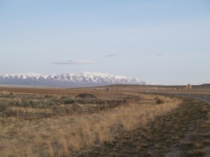 Looking North