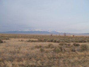 Looking West