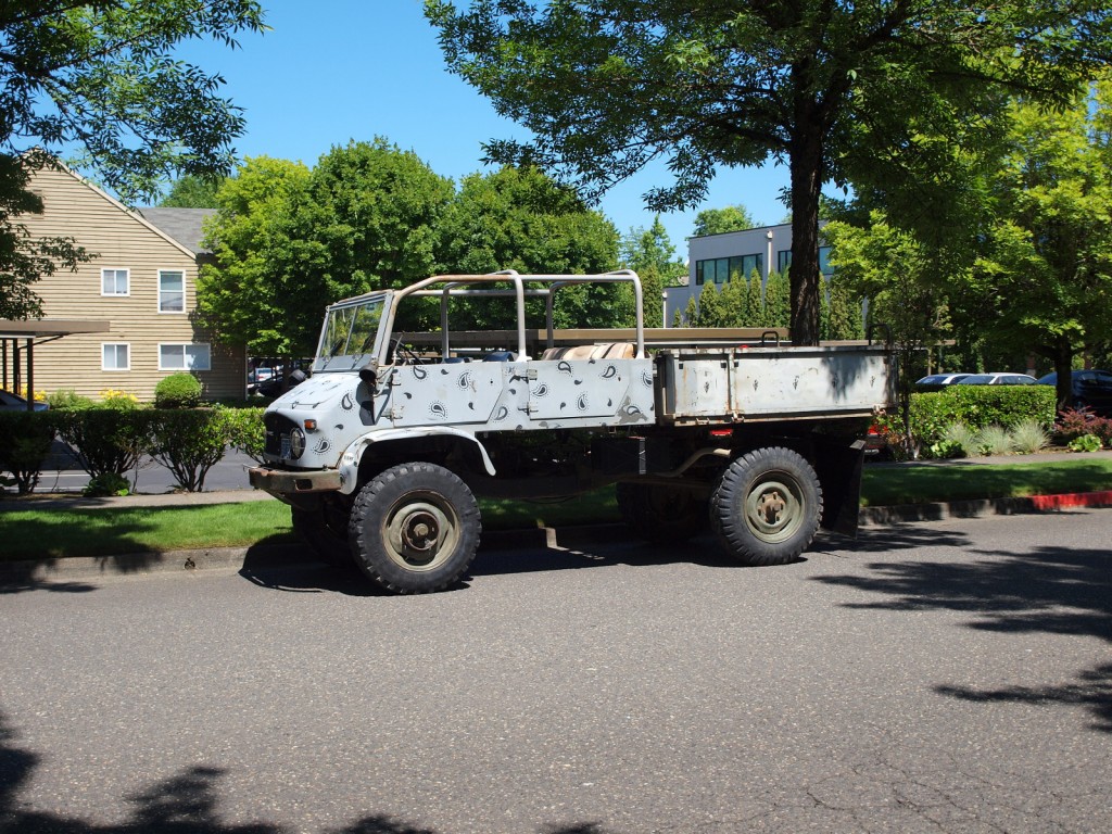 Beaverton Classic Car Show Pictures