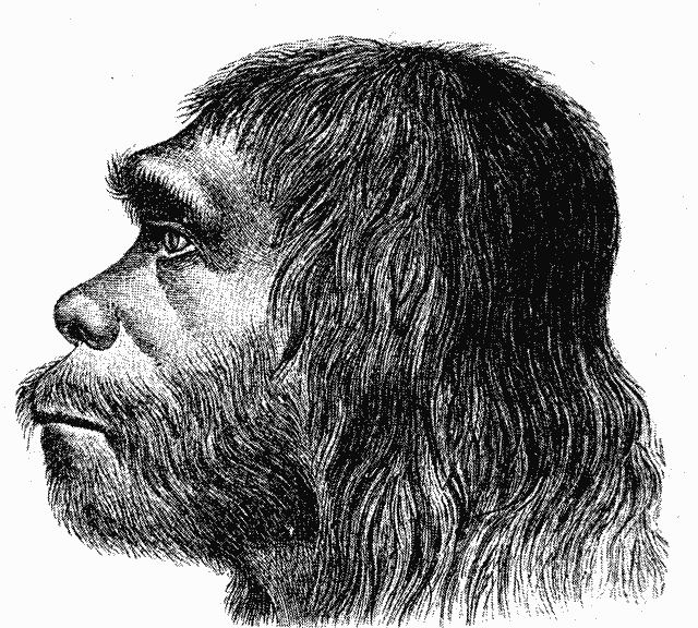 D20 Character Race - Neanderthals